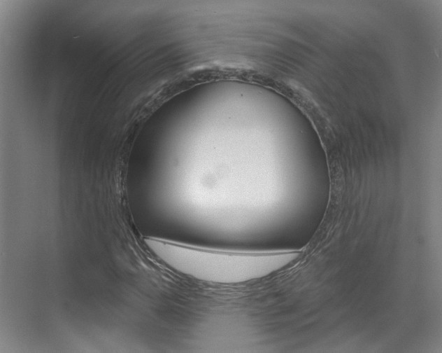 X0000074941110200609010938
