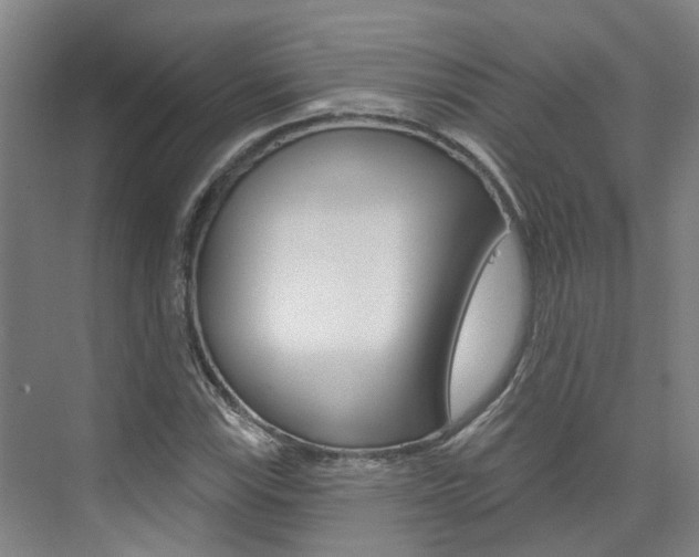 X0000074941115200609010938