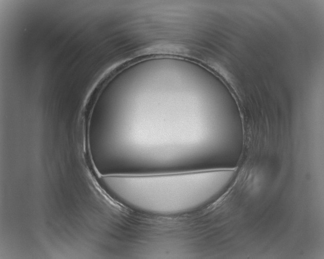 X0000074941123200609010938