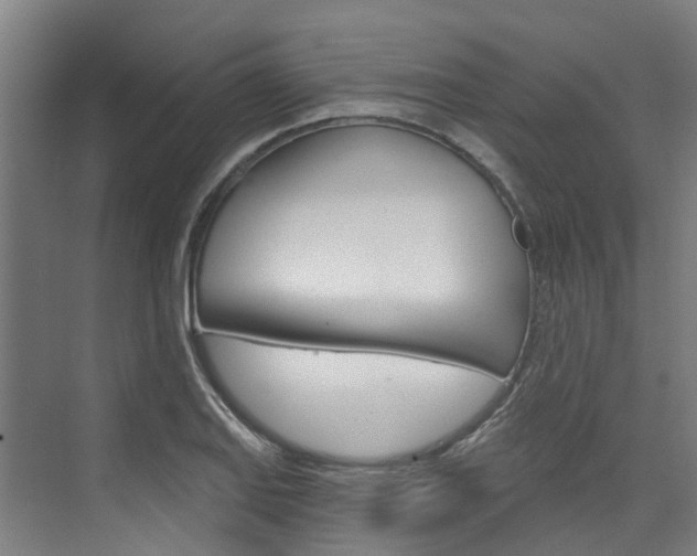 X0000074941127200609010938