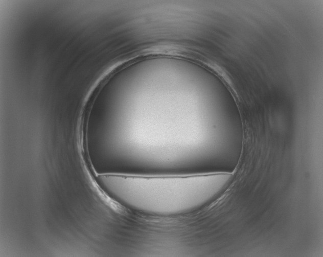 X0000074941131200609010938
