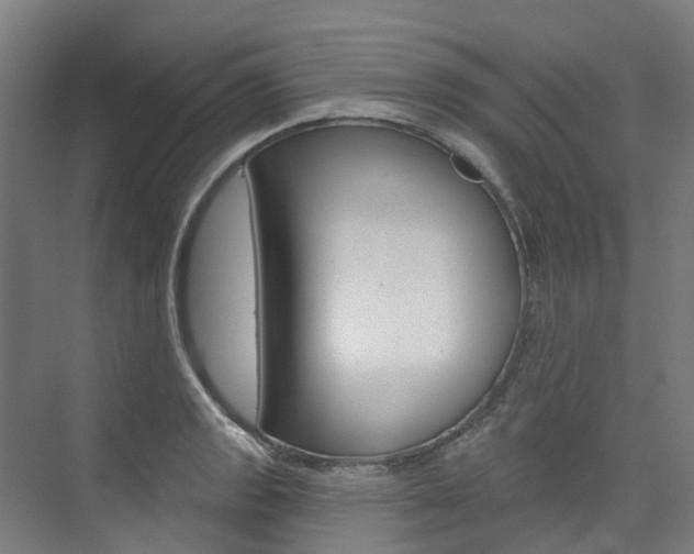 X0000074941133200609010938