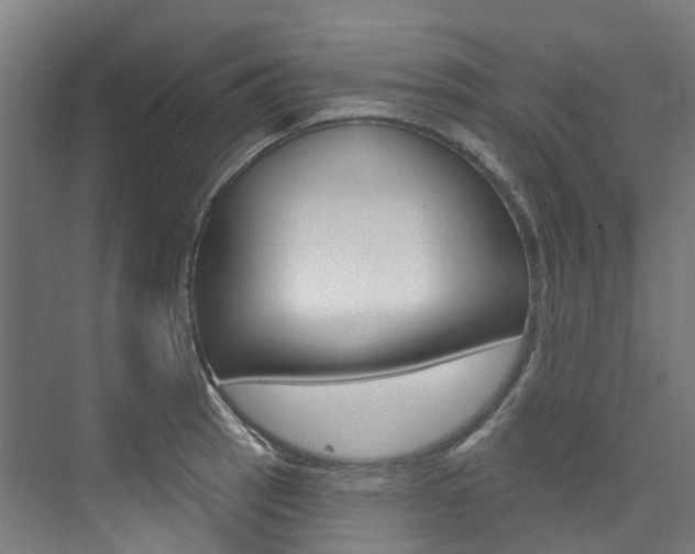 X0000074941137200609010938