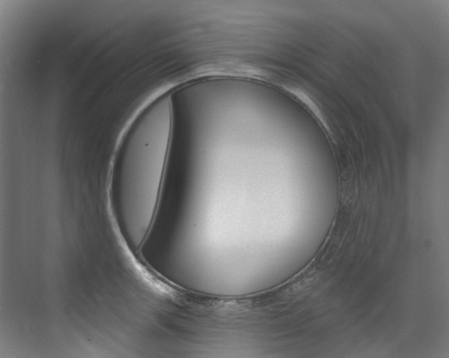 X0000074941139200609010938