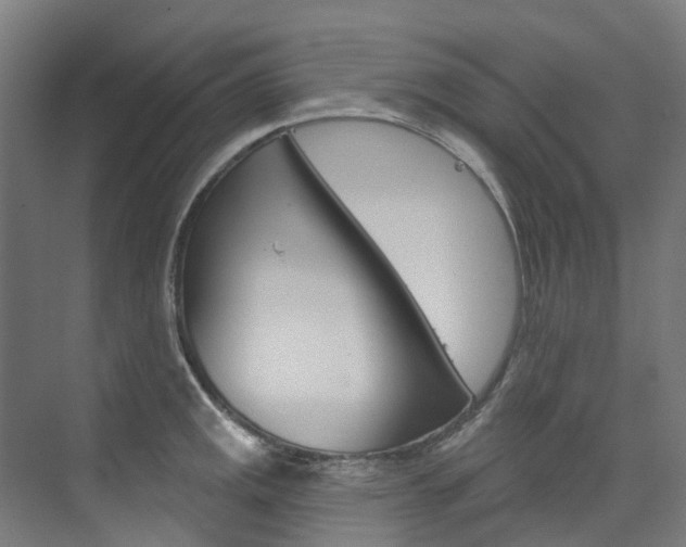 X0000074941141200609010938