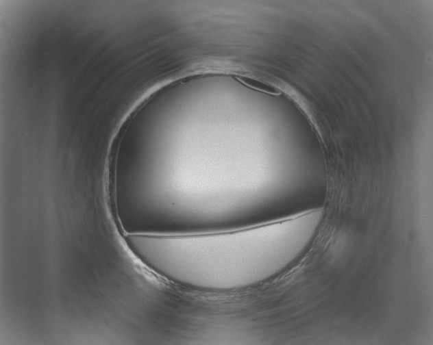 X0000074941147200609010938