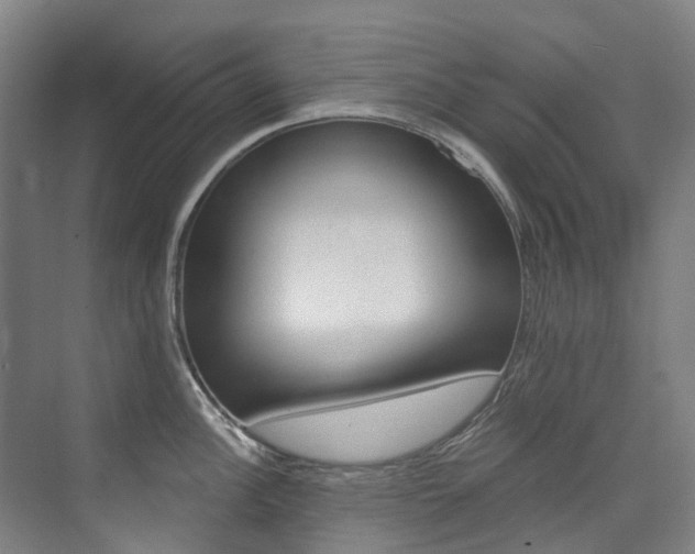 X0000074941148200609010938