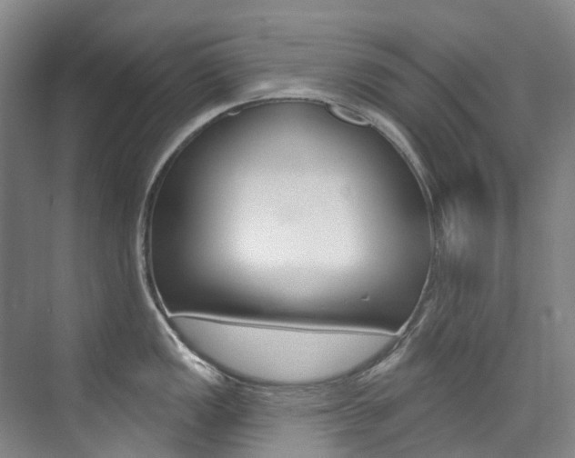 X0000074941149200609010938