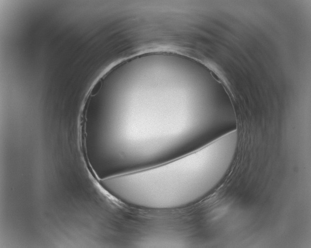 X0000074941151200609010938