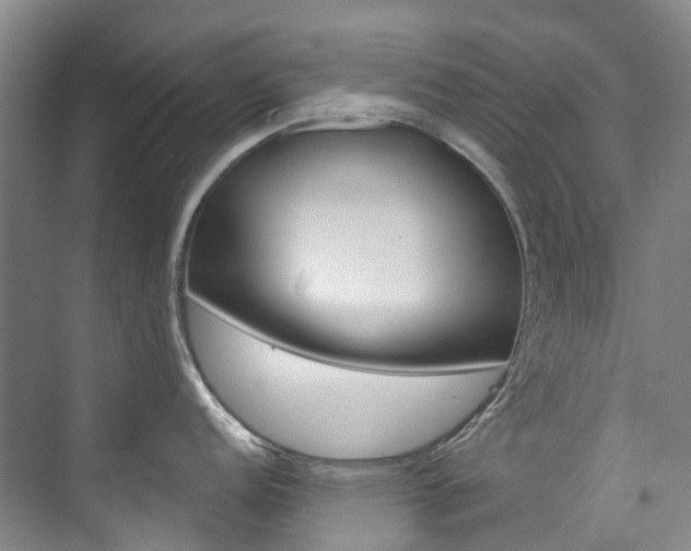 X0000074941152200609010938