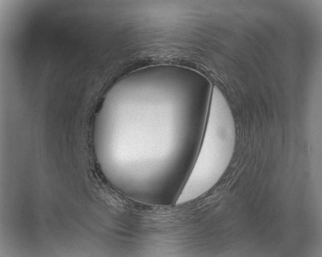 X0000074941153200609010938