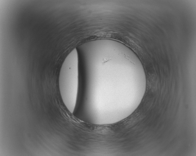 X0000074941154200609010937