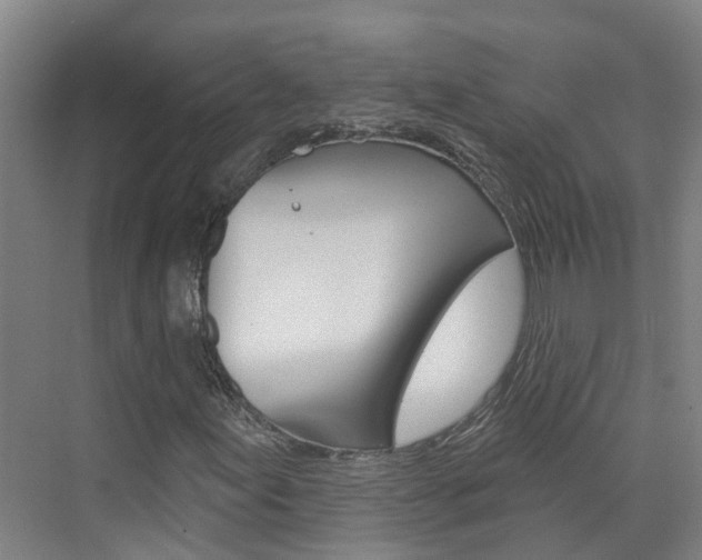X0000074941155200609010937