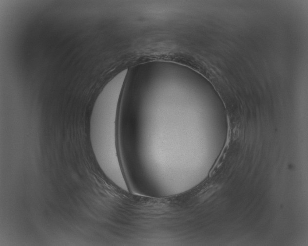 X0000074941156200609010937