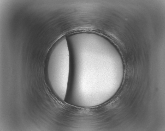 X0000074941162200609010937