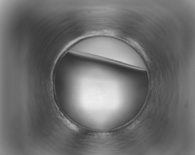 X0000074941184200609010937