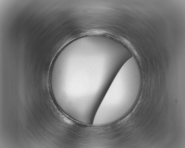 X0000074941186200609010937