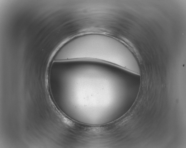 X0000074941188200609010937