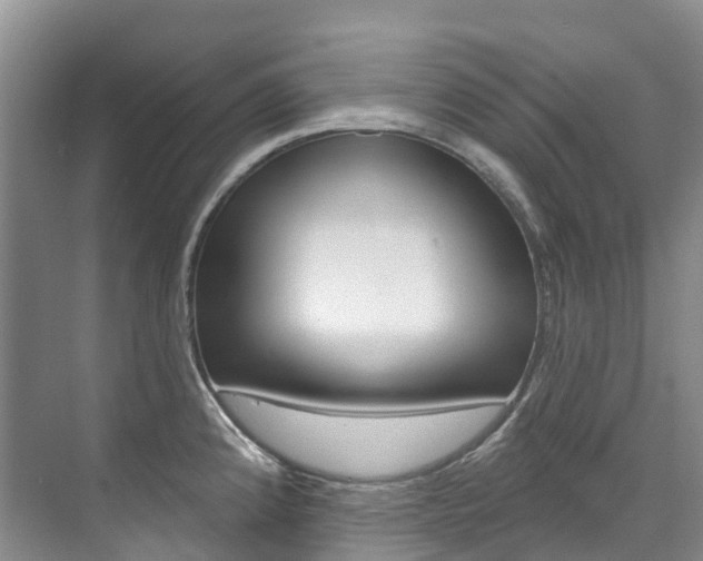 X0000074941192200609010937