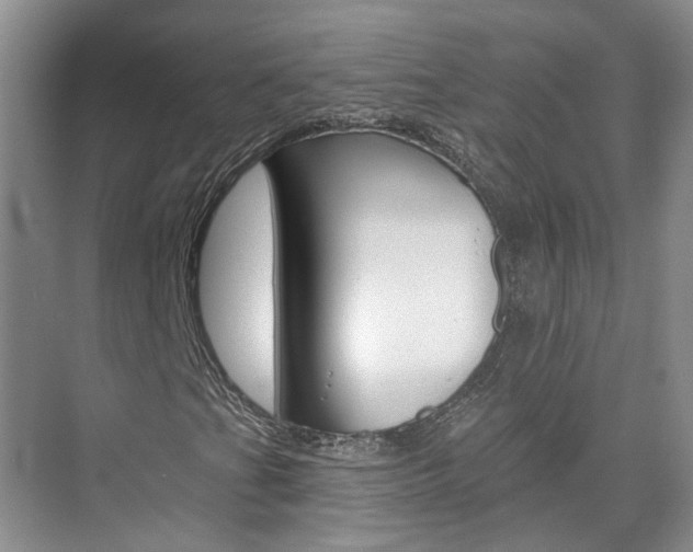 X0000074941201200609010936