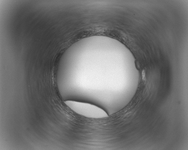 X0000074941203200609010936