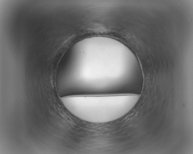 X0000074941205200609010936