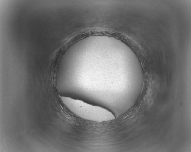 X0000074941207200609010936
