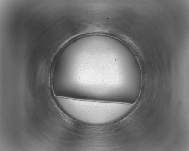 X0000074941220200609010936