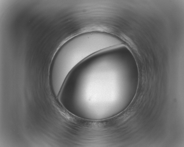 X0000074941226200609010936