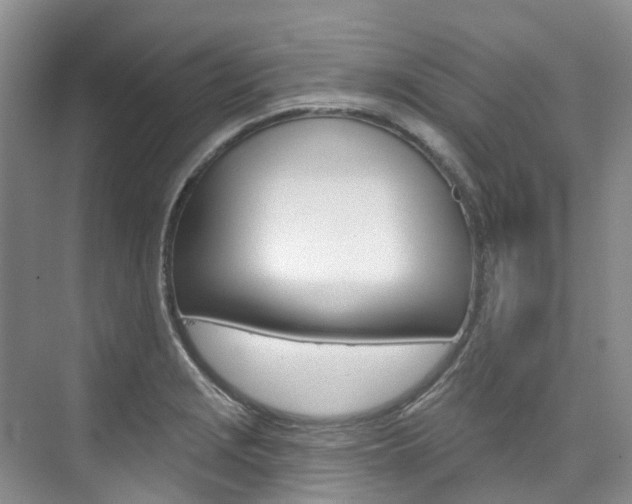X0000074941229200609010936