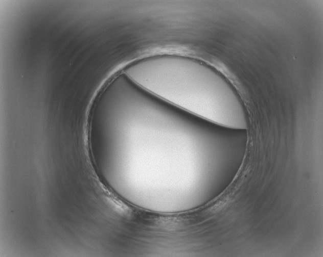 X0000074941232200609010936
