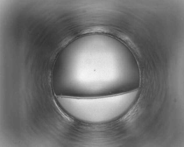 X0000074941233200609010936