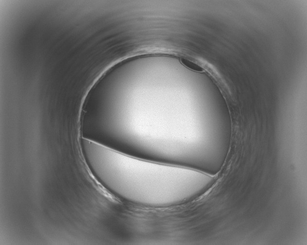 X0000074941236200609010937