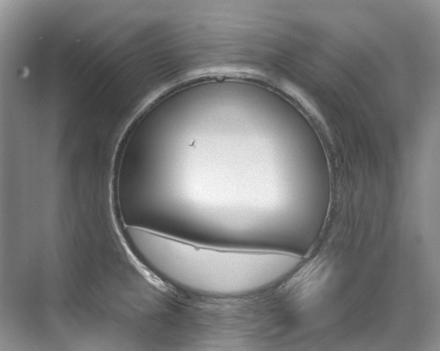 X0000074941237200609010937