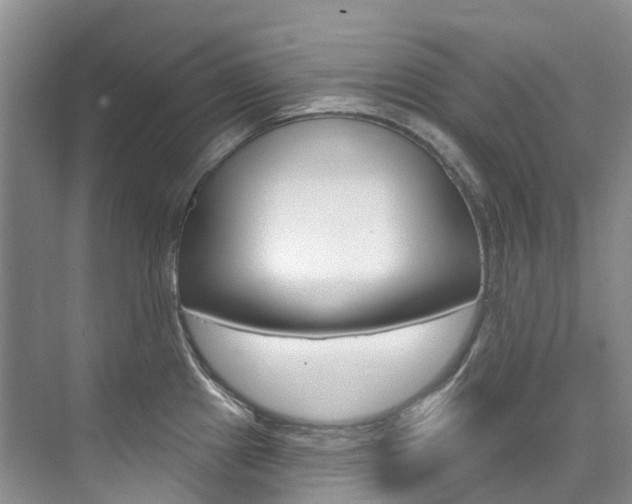 X0000074941241200609010937
