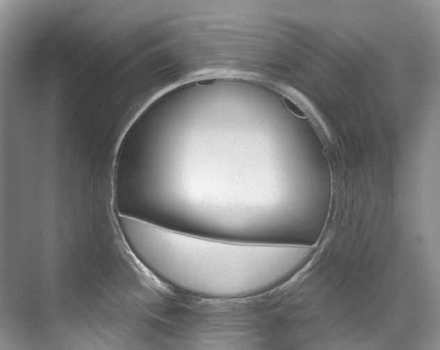 X0000074941244200609010937