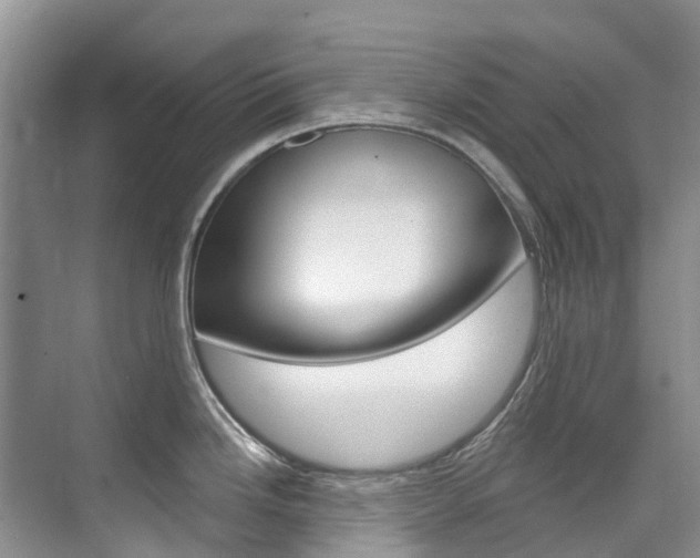 X0000074941246200609010937