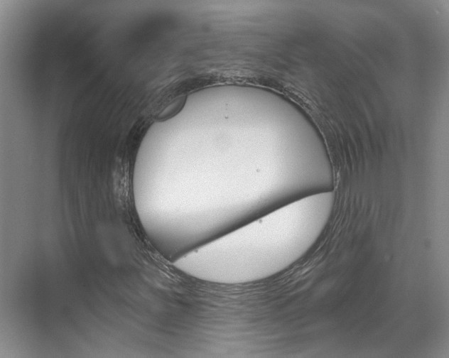 X0000074941251200609010936