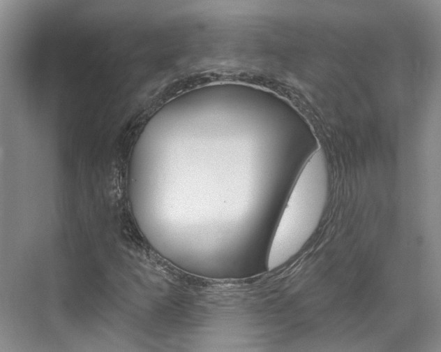X0000074941253200609010936