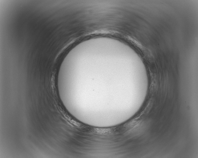 X0000074941258200609010936