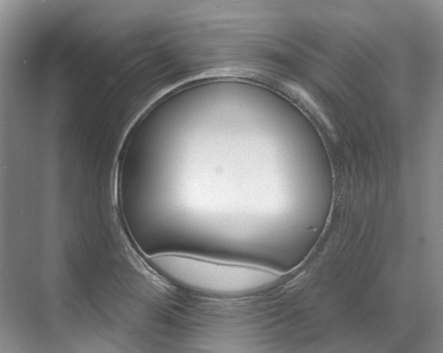 X0000074941276200609010935