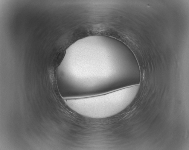 X0000074941299200609010934