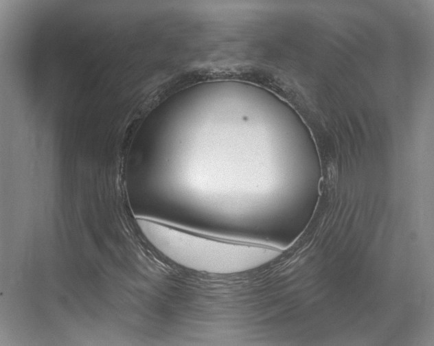 X0000074941300200609010934