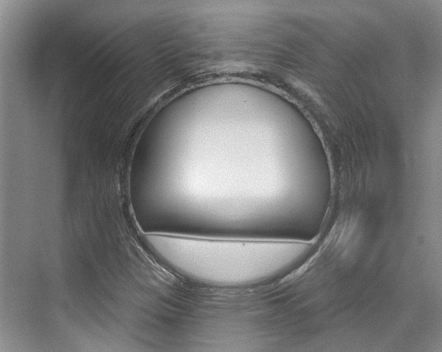 X0000074941305200609010934
