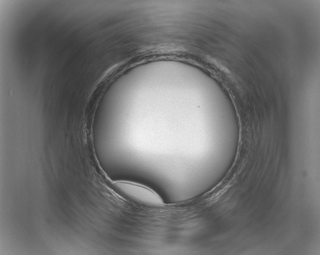 X0000074941306200609010934