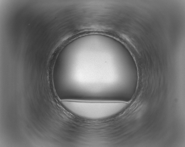 X0000074941307200609010934