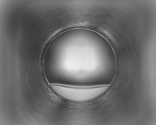 X0000074941308200609010934
