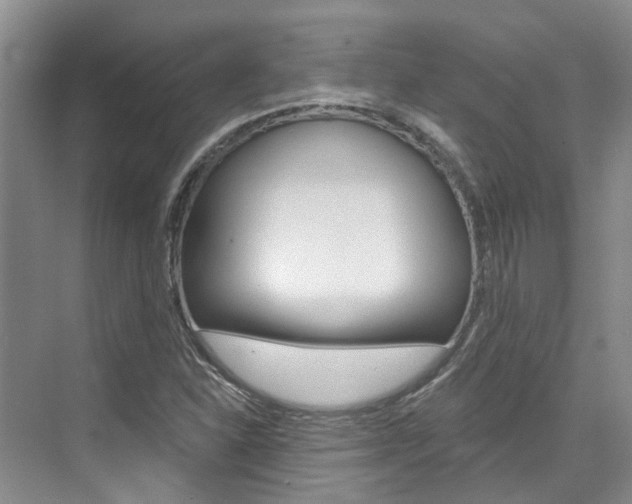 X0000074941310200609010935