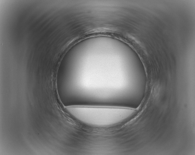 X0000074941313200609010935