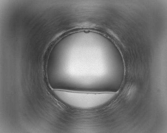 X0000074941315200609010935